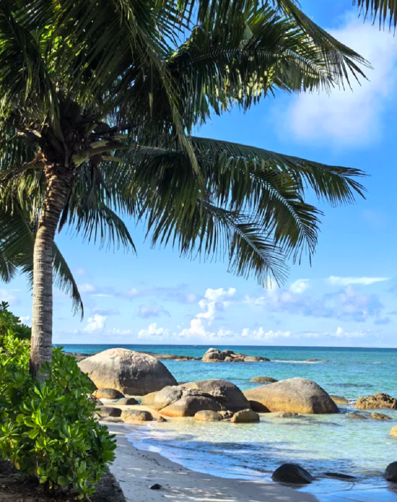 Excursión de un día en Wenchang, Hainan - Ruta detallada como una niñera - Itinerario personalizado - Traslado al hotel xx