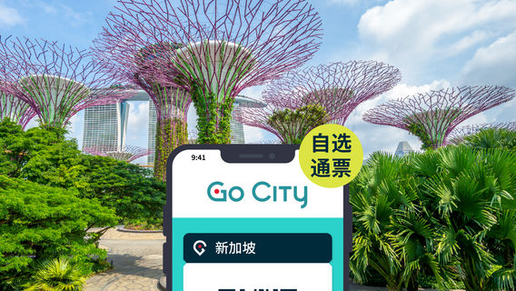 SingaporeTransport