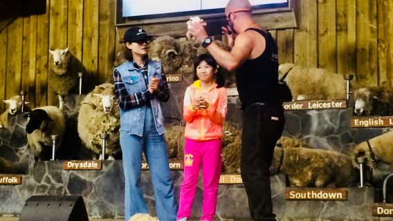 New Zealand Rotorua Farm Sheep Shearing Show + Animal Interaction Tractor Tour-Special activity