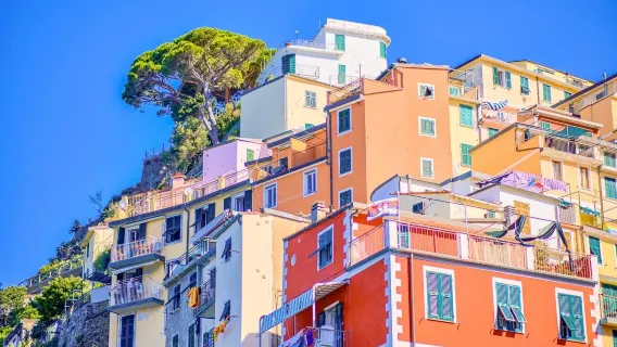 Leaning Tower of Pisa + Cinque Terre one-day tour[Round-trip Pickup + English Tour Leader]