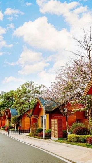 Heyuan Chunmuyuan Town + Bavarian Manor + Tuocheng + Taiping Ancient Street 1-day tour with bilingual service