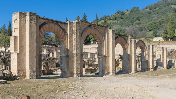 Guided Tour of Medina Azahara (AC)