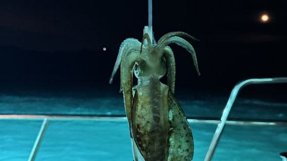 5 hr night squid fishing at Lingshui rich bay yacht - catch and eat fresh