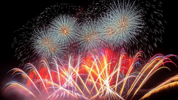 ATAMI Marine Fireworks & Capybara-Kuscheltour ab Tokio (Rückfahrt mit dem Shinkansen)