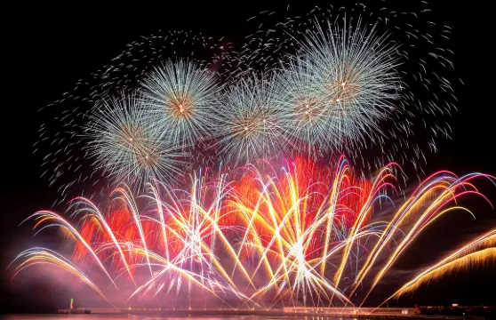 熱海海上花火大會、箱根神社、伊豆仙人掌動物園與可愛水豚近距離接觸一日遊（東京出發｜搭乘新幹線返回東京）