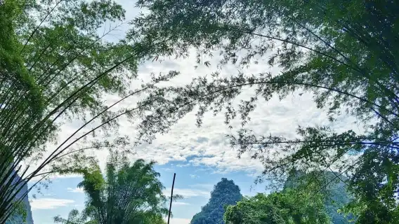 陽朔私人日遊|遇龍河竹筏漂流、銀子岩與如意峰