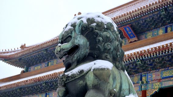 故宮博物院+景山公園4小時講解【可選15人小團/中英文講解】