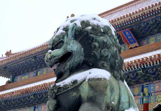 Half-day tour of the Palace Museum and Jingshan Park in Beijing | 4-hour in-depth guided tour + optional English guide