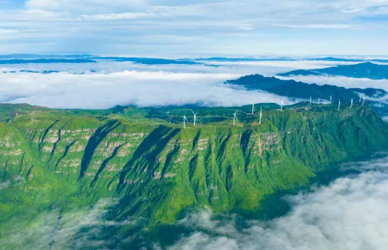烏蒙大草原/梅花山/韭菜坪一日遊(可三選一/1單1團獨立遊)