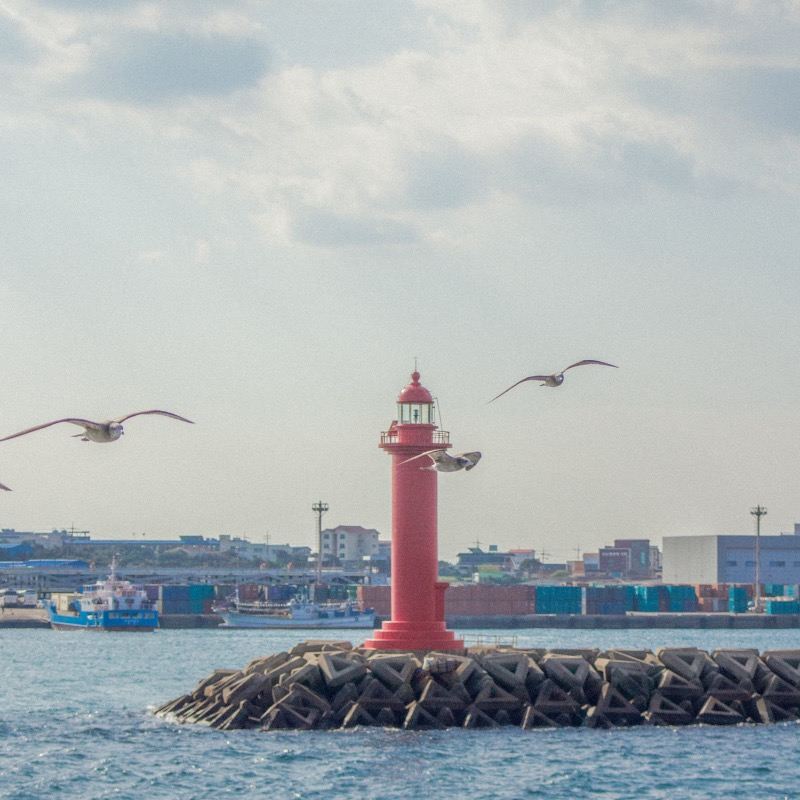 Book after consultation/Jeju Island Cheonjiyeon Waterfall Hallasan National Park Teddy Bear Museum Chinese area airport/Point-to-point vehicle service/Tour guide and driver/Private car service