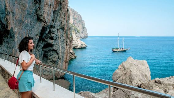 Maiorca: tour panoramico di un giorno intero da nord