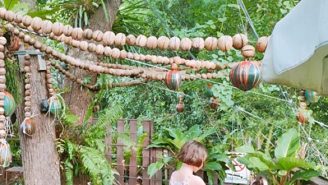 Zipline in Koh Samui Adventure activity tour