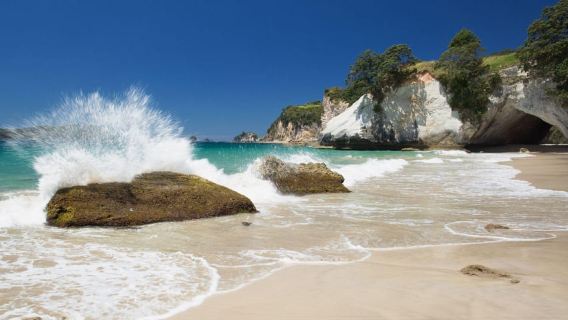 From Auckland: Cathedral Cove & Hot Water Beach Tour