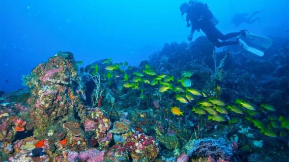 Туламбен: подводный рай для дайвинга