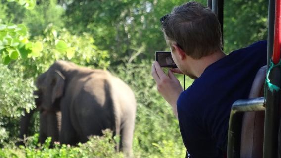 Pelabuhan Hambantota: Safari Taman Negara Yala Sehari Penuh- Persendirian