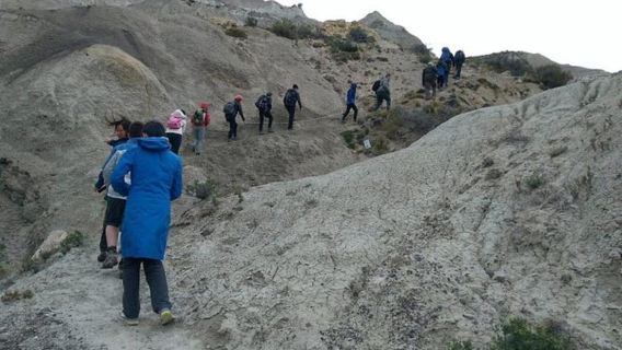 El Calafate: La Leona Petrified Forest Day Trip