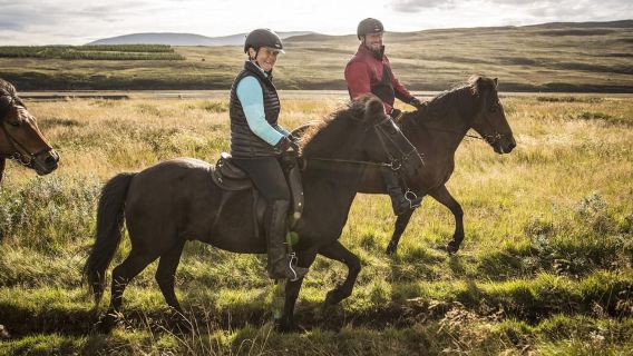 Varmahlid: Viking Horse Riding Tour