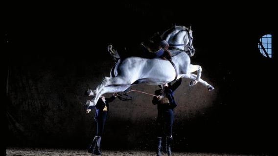 Jerez de la Frontera: Andalusian Horse Dance and Museums