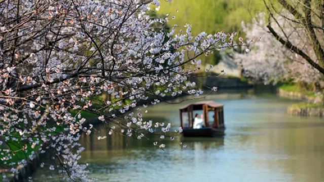 Sewaan peribadi Shanghai: Bandar lama Suzhou Jinxi + Bandar lama Tongli [Jinxi musim luruh, masa menikmati musim luruh]