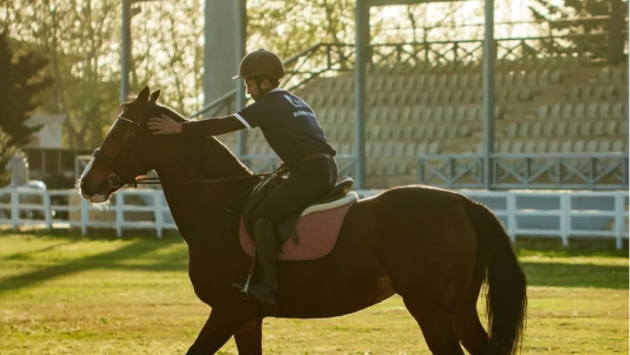 Baku Horse Riding Experience – Get Up Close with World-Famous Horses! (Includes hotel transfer service)