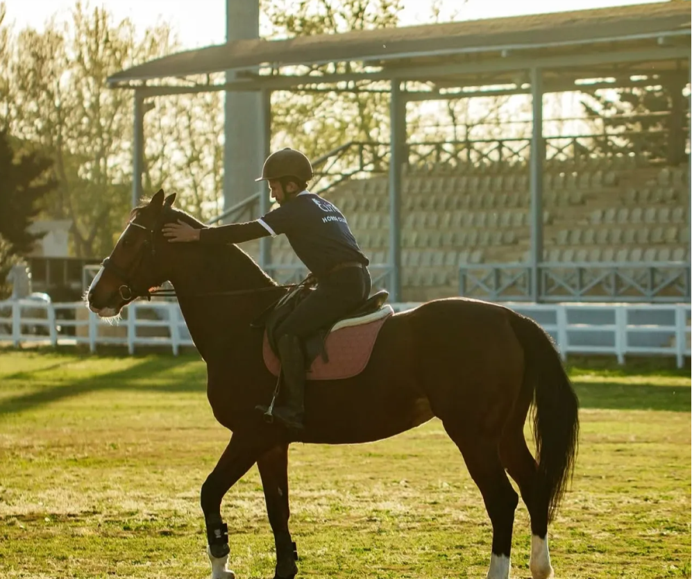 Baku Horse Riding Experience – Get Up Close with World-Famous Horses! (Includes hotel transfer service)