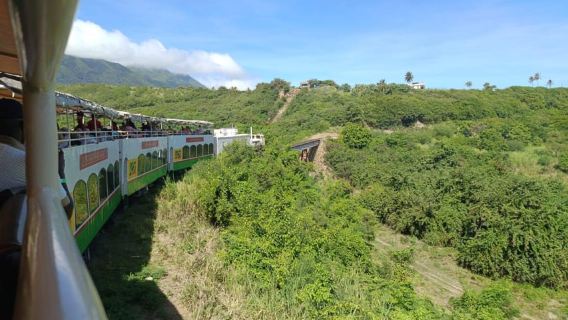Saint Kitts Train Trek: Pickups & Drop off from Anywhere