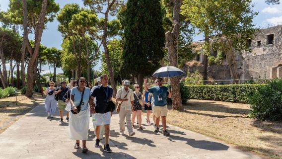 Desde Roma: Experiencia en Pompeya y el cráter del Vesubio con almuerzo
