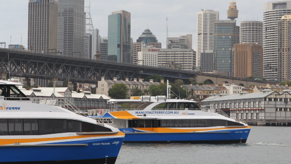 Crociera Fantasea per ammirare i fuochi d'artificio di Capodanno a Sydney (partenza dal molo di Manly)|Uno spettacolo di fuochi d'artificio)