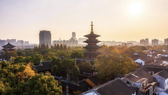 [Shanghái ida y vuelta] Excursión de un día a Suzhou (Jardín del León + Templo Hanshan + Calle Shantang) | Recepción de visitantes extranjeros