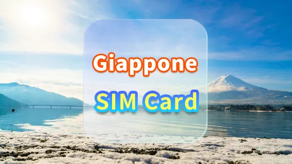 [Giappone] Scheda SIM 4G | docomo | Piano da 30 giorni | Plug-in | Ritiro all'aeroporto di Hong Kong