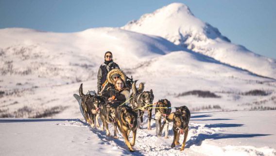Tromso|Đua xe chó kéo Husky tại đảo Kvaløya · Nhóm nhỏ ·