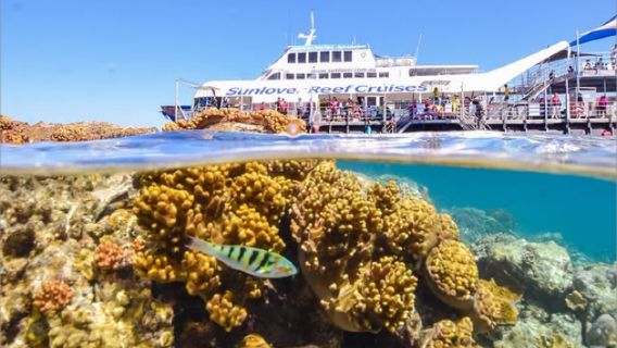 凱恩斯摩爾外堡礁大堡礁一日遊【可選太陽戀人/夢幻麗礁/大冒險號】