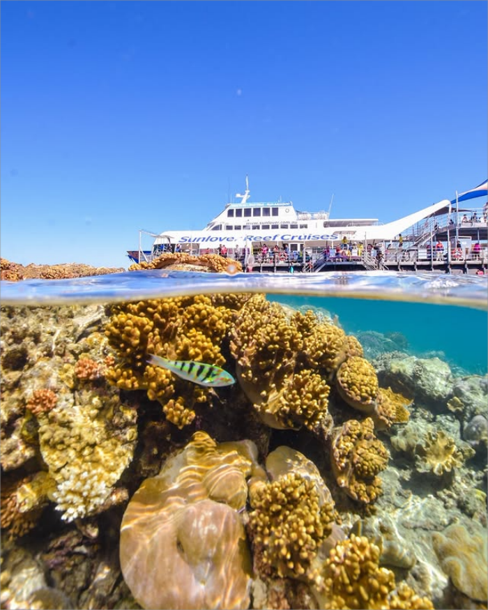 開恩茲摩爾外堡礁大堡礁一日遊【可選太陽戀人／夢幻麗礁／大冒險號】