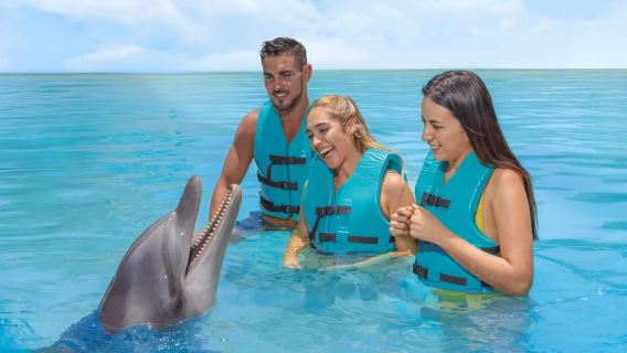 Cancun: Dolphin Connection & Isla Mujeres Beach Club Buffet