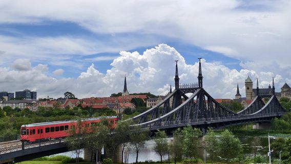 私家小團上門接駁|東莞可園+南社明清古村落+松山湖公園一日遊