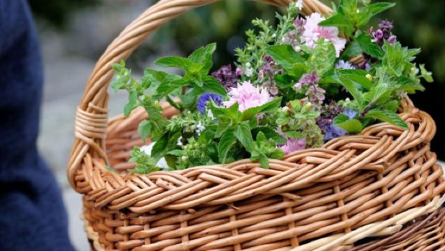 Meißen: Geführter Rundgang 'Romantischer Abendspaziergang'