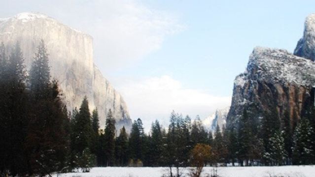 San Francisco + Yosemite National Park day tour/Customizable itinerary - Custom tours available