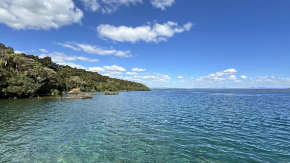 紐西蘭奧克蘭-科羅曼德爾半島-哈嘿【中文專車-愜意舒適】