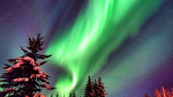 【14人小團】美國阿拉斯加費爾班克斯專業「追獵」體驗北極光