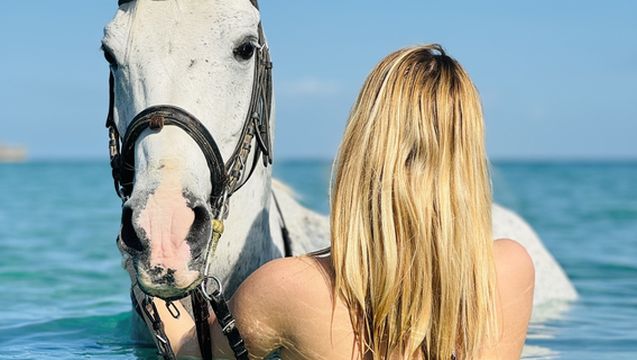 フルガダ：砂漠と海の乗馬ツアー（オプションで海水浴可） | Trip.com