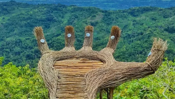 1-day tour to Jomblang cave and the giant's hand pine forest in Yogyakarta, Indonesia [Private transfers]