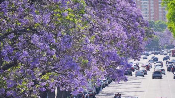 阿根廷布宜諾斯艾利斯哥倫布劇院+拉博卡區+方尖碑【包車&含導遊】