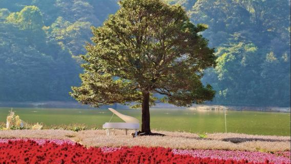 Depart from Guangzhou: 1-day tour to Conghua Shimen Forest and Bishui Bay Hot Spring