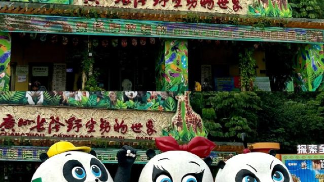 Guangzhou Chimelong Safari Park Guide|Chinese / English|Photography and guided tour|Attentive service provided by young butlers