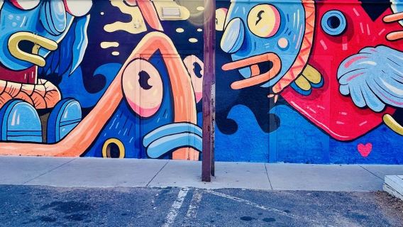 Denver: Gegidste graffiti tour door North RiNo