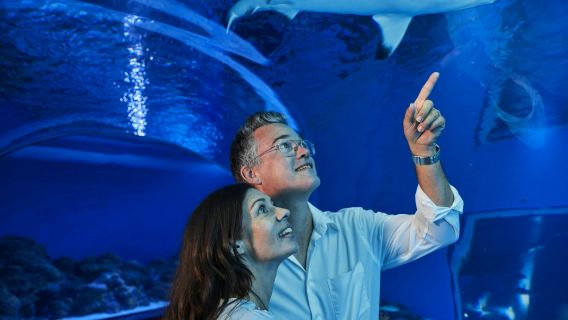 夕暮れ時のケアンズ水族館