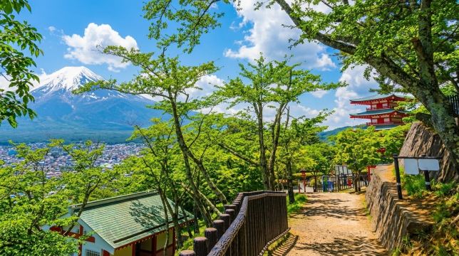 Mount Fuji Scenic Highlights Day Tour