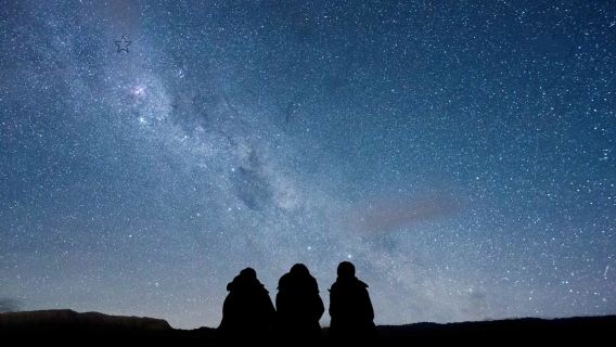 Sterntour auf dem Mount Cowan in Tekapo, Südinsel Neuseeland [Chinesisch/Englisch optional | nächtliche Sternebeobachtung]