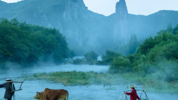 Lishui 1-day tour [Ancient Weir Painting Village by Oujiang River, Yunhe Terraced Fields embracing the cloud-capped mountains, flexible and free-paced.]