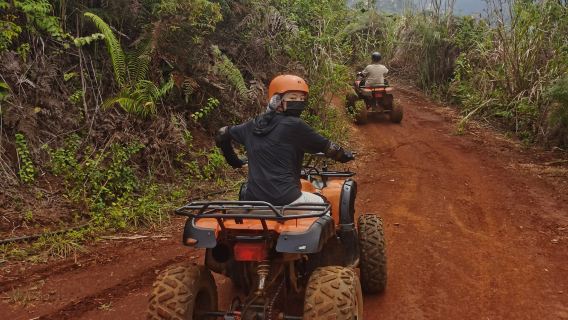 Ladang Gunung Kinabalu Kota Kinabalu Sabah dengan Percuma Pengalaman ATV, Boleh Tambah Luncur Layar